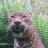 Marieke Borghols avatar