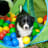 Hailey Schoenmakers avatar