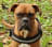 Elke Tondeur avatar
