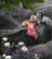 Evadreamsgo avatar