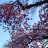 manon_ten avatar