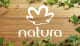 Chile Natura