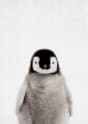 pinguinqueen