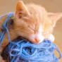 Kathy Knitting
