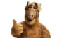 Alf