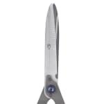 Spear & Jackson 8110RS Razorsharp Notched Hedge Shear, Blue