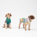 Chaleco Tejido para Mascota S por $3.190