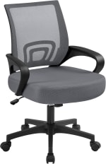 Silla de Escritorio con Soporte Lumbar Altura Ajustable por 40.94€