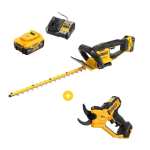 Pack promo DEWALT à 309€