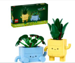 Jouet LEGO® Botanicals - Petites Plantes Souriantes à 15,99€