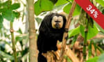 Entree ZooParc Overloon voor €16,50 via Social Deal