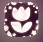 Flowwow App Flores y Regalos con 20% de Descuento NAVIDAD