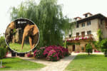 Cantabria Hotel Novales con desayuno + Entradas Parque Cabárceno por 68€ Mayo Junio