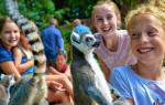 Entreeticket Vogelpark Avifauna + XXL speeltuin voor €17,50 via Tripper