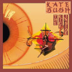 Kate Bush The Kick Inside Vinyl £19.75 Amazon Deal