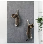 Alfombra autoadhesiva p/Rascar Gatos 30x30cm Dto. Bienvenida $925 En AliExpress.com