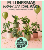 Soamente hoy plantas desde 0.99€