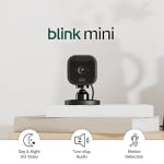 Blink Mini Indoor Pet Security Camera – 1080p HD – £9.99 (Amazon)