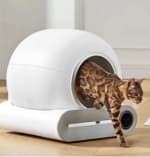 Volautomatische kattenbak (65 L) voor €123,55 bij AliExpress