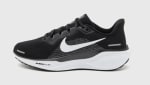 Chaussures de running sur route - PEGASUS 41 à 68€