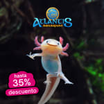 Hasta el 35% en compra ONLINE y 15% en la compra en la taquilla del parque.