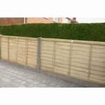 Forest Garden Overlap Fence Panel – 6 x 3ft – £22 (Free C&C)