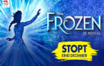Premium +, Premium of 1e rang ticket voor de musical Disney FROZEN voor €39