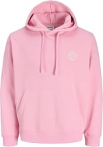 JACK & JONES Sweat Hood Sudadera con Capucha Jjalliance Hombre por 15€