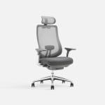 Colamy Atlas ergonomische bureaustoel voor €227,76 bij Colamyhome