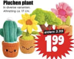 Pluchen plant voor €1,99 bij Dirk