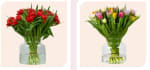 20% korting op alle dubbele tulpen bij besteding vanaf €29,95 bij Tulpenonline