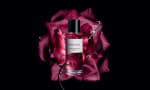 Dior Parfum Sample Rose Star gratis
