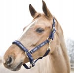 Horze Hamptons Hoofdband Pony Marineblauw voor €26,13 bij Bol