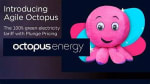 Octopus Agile Electricity at 1p/kWh on 30th March
