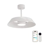 Ventilador de techo con luz retráctil silencioso DC 29W con mando WiFi/APP por 149€