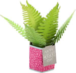 Hallmark 3D Pop-Up Mother’s Day Card – £2.12