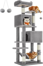 Árbol para Gatos 155cm por $888 | Amazon
