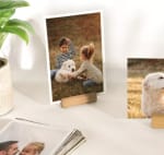 Código Revelado 100 fotos tamaño 10x15 por 12€ [