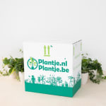 Planten voordeel box met 6 verschillende planten voor €24,99 bij plantje.nl