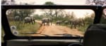 Escapada Sudáfrica: safaris y viñedos en Puente Diciembre desde 2.279€