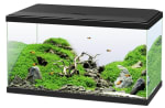 Aquarium 60 pour Poissons Équipé d'un Filtre, Consommables à 53,99€