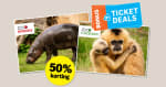 50% ticketdeal voor ZOO Antwerpen en ZOO Planckendael via de AH in België