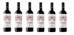 6 Botellas de Campillo Edición Limitada Crianza 2022 por 38.6€