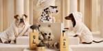 Rituals wellnesscollectie voor je hond vanaf €7,90