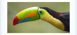 Costa Rica a tu aire 9 días desde 1508€.