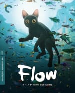 Flow (The Criterion Collection) [Blu-ray] por $496 | Amazon