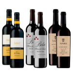 6 Botellas de Riberas de Duero de 1ª Categoría por 41.8€