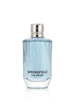Springfield La vraie attitude à 11,19€