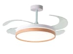 BEL AIR HOME Ventilador de techo COSMOS con luz LED regulable por 34.16€