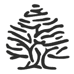 Descuento 10€ en la App de Springfield